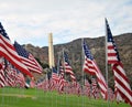 Flags In Memory of those who died in 9/11 attacts